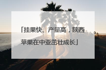 挂果快、产量高，陕西苹果在中亚茁壮成长