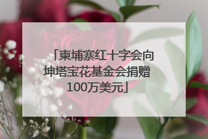 柬埔寨红十字会向坤塔宝花基金会捐赠100万美元