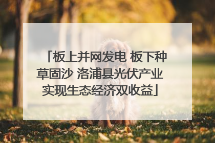 板上并网发电 板下种草固沙 洛浦县光伏产业实现生态经济双收益