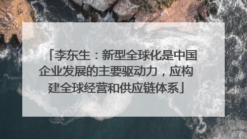 李东生：新型全球化是中国企业发展的主要驱动力，应构建全球经营和供应链体系