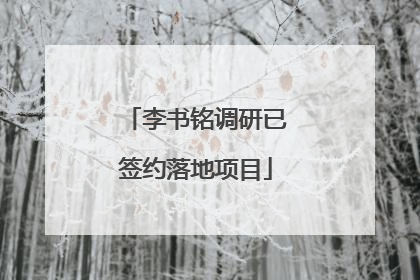 李书铭调研已签约落地项目