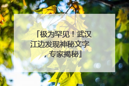 极为罕见！武汉江边发现神秘文字，专家揭秘