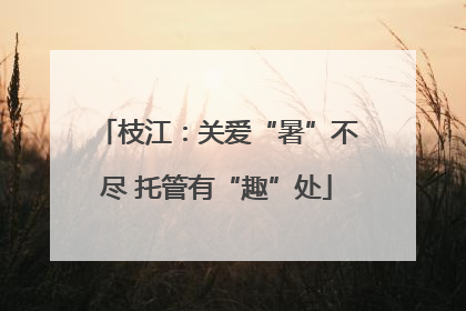 枝江：关爱“暑”不尽 托管有“趣”处
