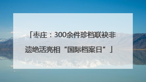 枣庄：300余件珍档联袂非遗绝活亮相“国际档案日”