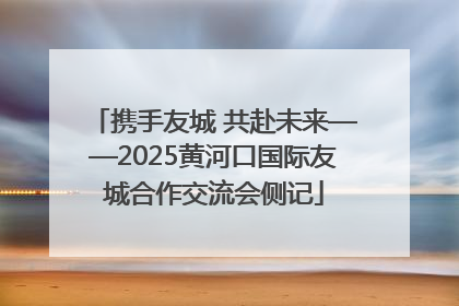 携手友城 共赴未来——2025黄河口国际友城合作交流会侧记