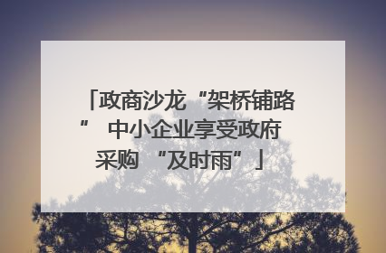 政商沙龙“架桥铺路” 中小企业享受政府采购 “及时雨”