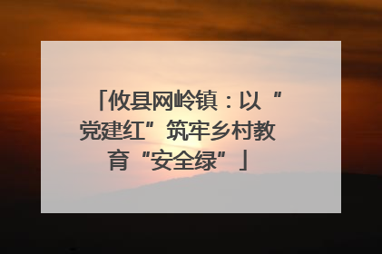 攸县网岭镇：以“党建红”筑牢乡村教育“安全绿”