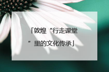 敦煌“行走课堂”里的文化传承