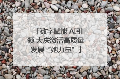 数字赋能 AI引领 大庆激活高质量发展“她力量”