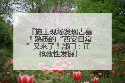 施工现场发现古墓！熟悉的“西安日常”又来了！部门：正抢救性发掘