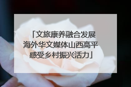 文旅康养融合发展 海外华文媒体山西高平感受乡村振兴活力
