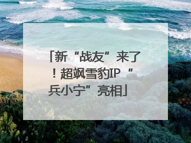 新“战友”来了！超飒雪豹IP“兵小宁”亮相