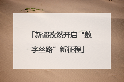 新疆孜然开启“数字丝路”新征程