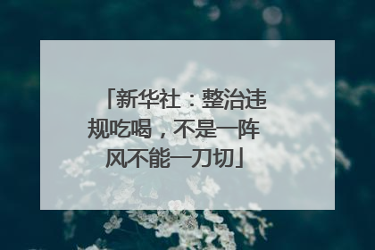 新华社：整治违规吃喝，不是一阵风不能一刀切