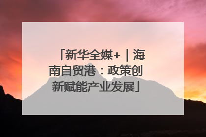 新华全媒+｜海南自贸港：政策创新赋能产业发展