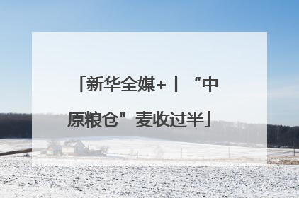 新华全媒+丨“中原粮仓”麦收过半