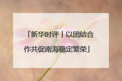 新华时评丨以团结合作共促南海稳定繁荣
