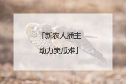新农人播主 助力卖瓜难
