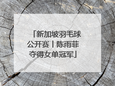 新加坡羽毛球公开赛丨陈雨菲夺得女单冠军