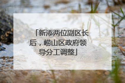 新添两位副区长后，崂山区政府领导分工调整