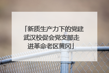 新质生产力下的党建 武汉校促会党支部走进革命老区黄冈