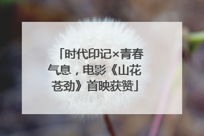 时代印记×青春气息，电影《山花苍劲》首映获赞