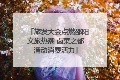 旅发大会点燃邵阳文旅热潮 卤菜之都涌动消费活力