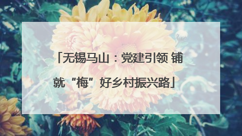 无锡马山：党建引领 铺就“梅”好乡村振兴路