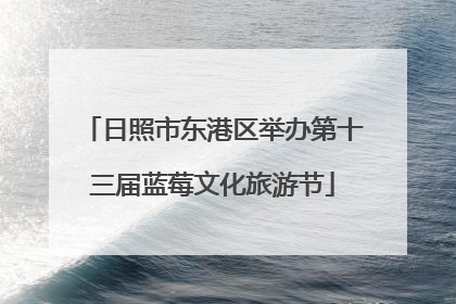 日照市东港区举办第十三届蓝莓文化旅游节