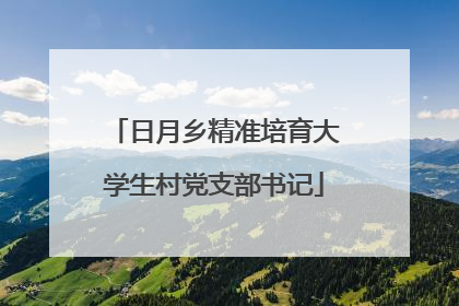 日月乡精准培育大学生村党支部书记