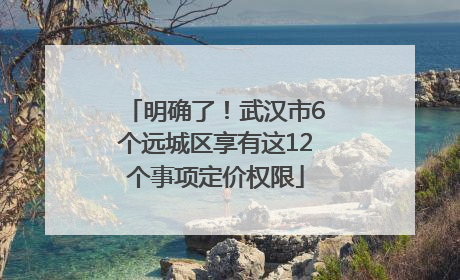 明确了！武汉市6个远城区享有这12个事项定价权限