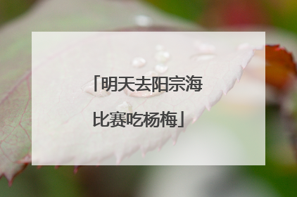 明天去阳宗海比赛吃杨梅