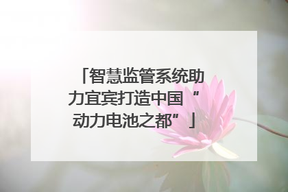 智慧监管系统助力宜宾打造中国“动力电池之都”
