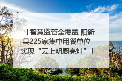 智慧监管全覆盖 阳新县225家集中用餐单位实现“云上明厨亮灶”