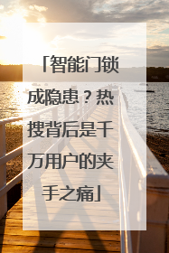 智能门锁成隐患？热搜背后是千万用户的夹手之痛