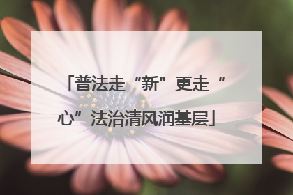 普法走“新”更走“心”法治清风润基层