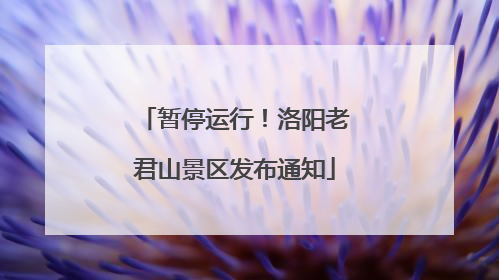 暂停运行！洛阳老君山景区发布通知