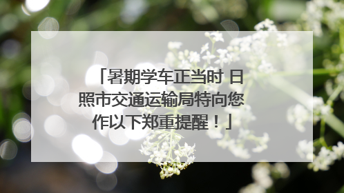 暑期学车正当时 日照市交通运输局特向您作以下郑重提醒！
