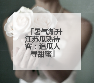 暑气渐升江苏瓜熟待客：追瓜人寻甜蜜