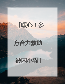 暖心！多方合力救助被困小猫