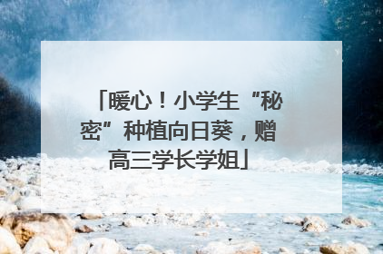 暖心！小学生“秘密”种植向日葵，赠高三学长学姐