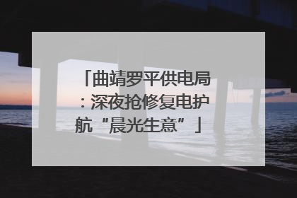曲靖罗平供电局：深夜抢修复电护航“晨光生意”