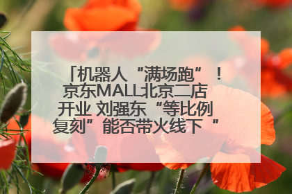 机器人“满场跑”！京东MALL北京二店开业 刘强东“等比例复刻”能否带火线下“618”？