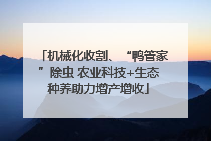 机械化收割、“鸭管家”除虫 农业科技+生态种养助力增产增收