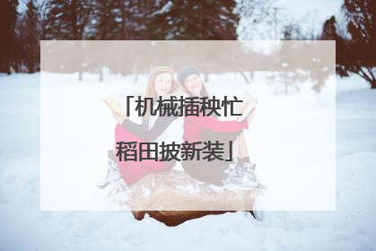 机械插秧忙 稻田披新装