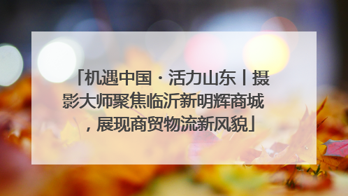 机遇中国・活力山东丨摄影大师聚焦临沂新明辉商城，展现商贸物流新风貌