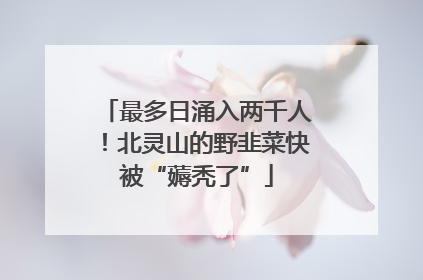 最多日涌入两千人！北灵山的野韭菜快被“薅秃了”