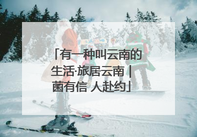 有一种叫云南的生活·旅居云南｜菌有信 人赴约