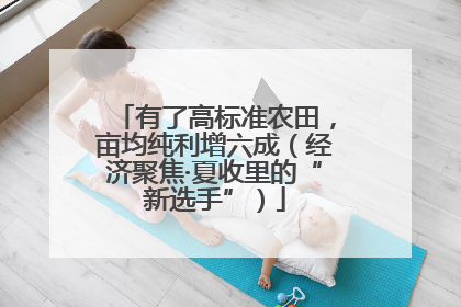 有了高标准农田，亩均纯利增六成（经济聚焦·夏收里的“新选手”）