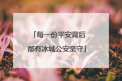 每一份平安背后 都有冰城公安坚守
